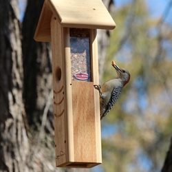 Woodpecker Feeder